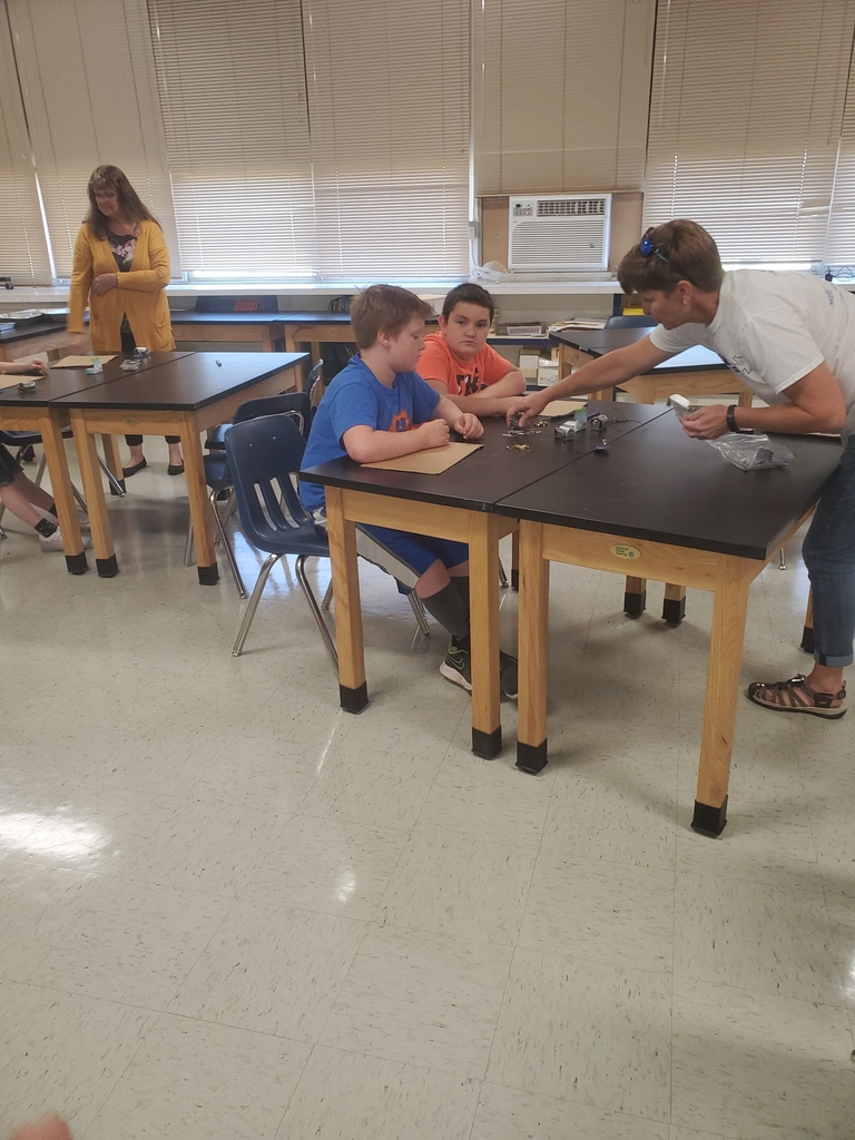 students take part in science activity