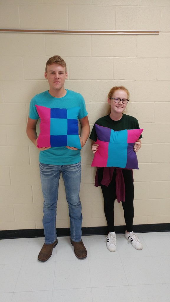 Amazing FACS Pillows