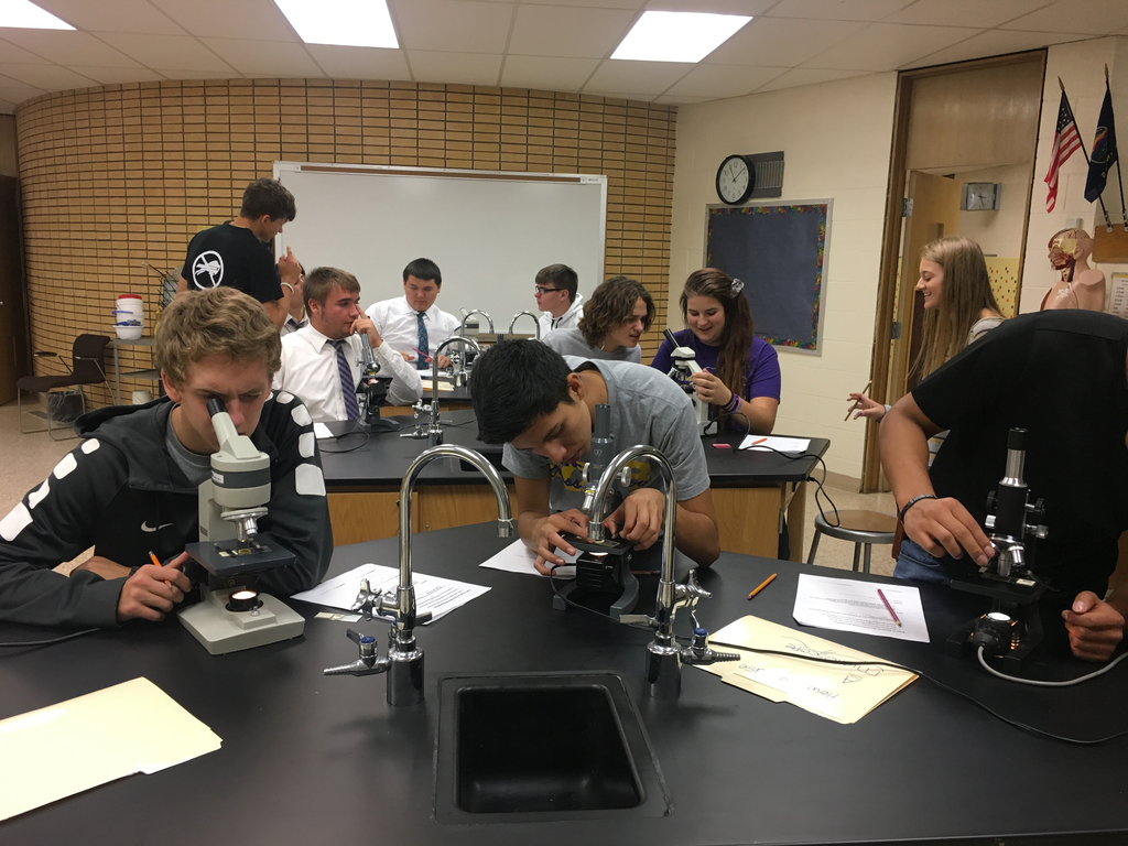 Bio 1