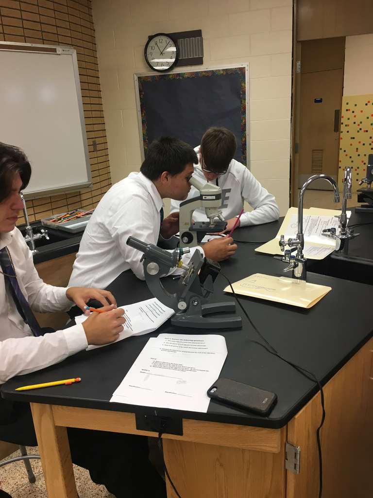 Bio 2