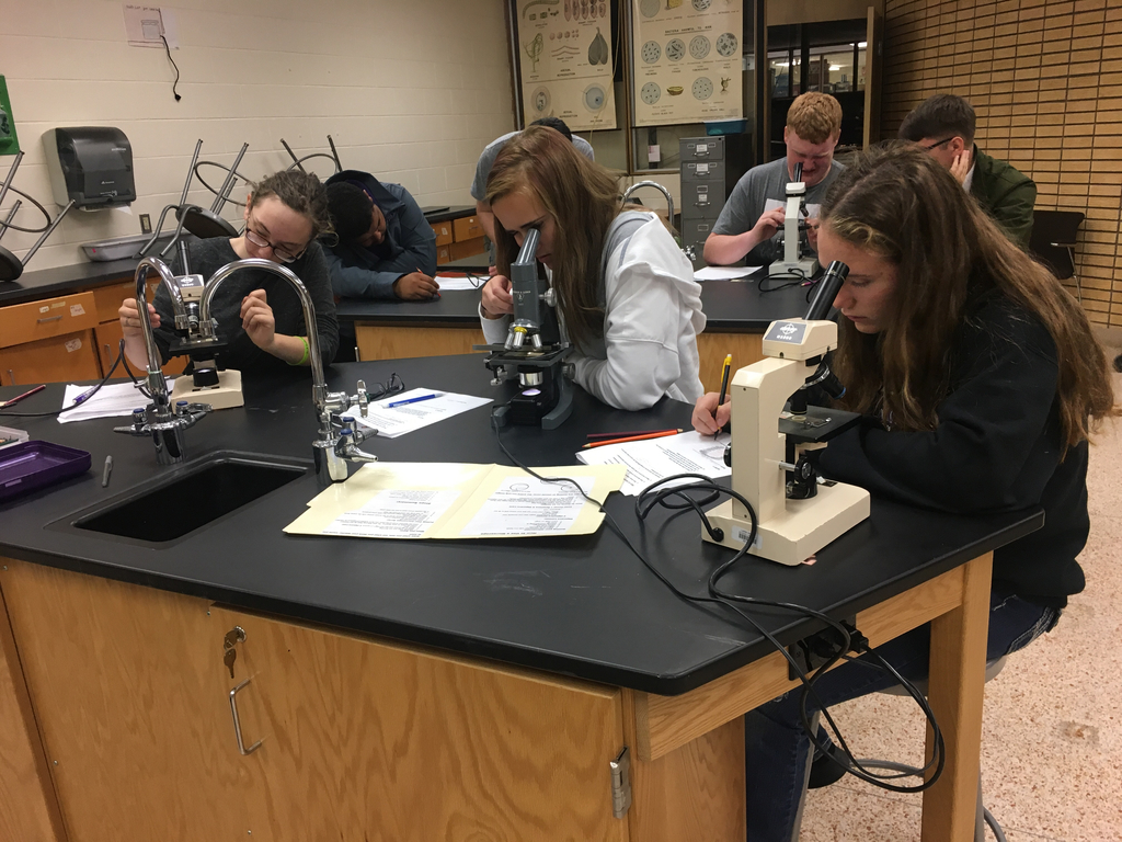 Bio 4 