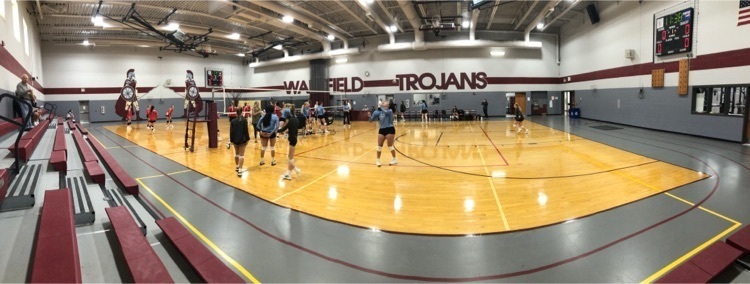 VB