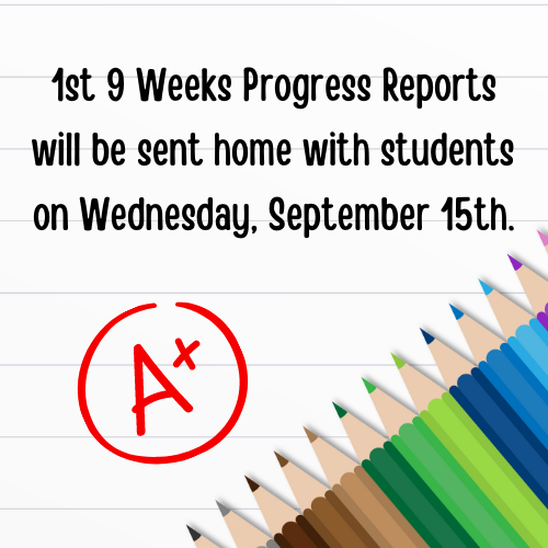 Progress Reports