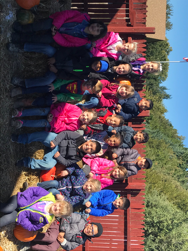 Pumpkin Patch