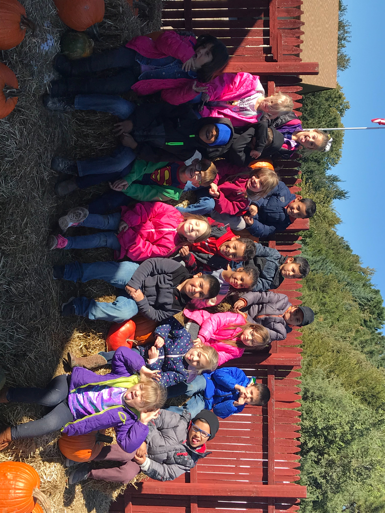 Pumpkin Patch
