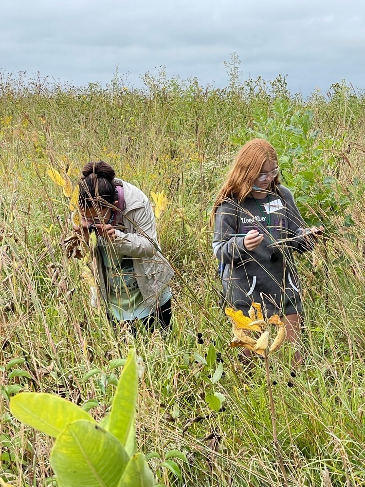 looking at different plants