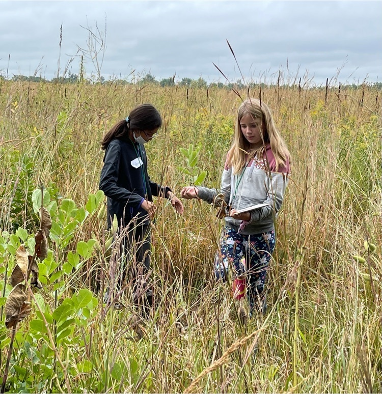 6th grade scientists