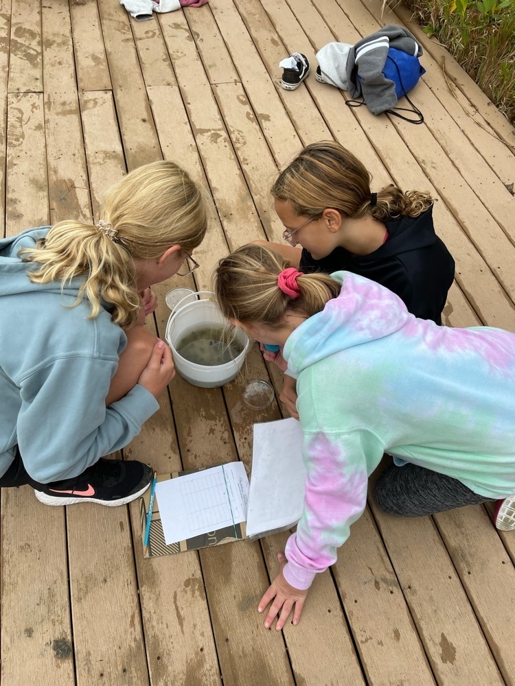 getting a closer look