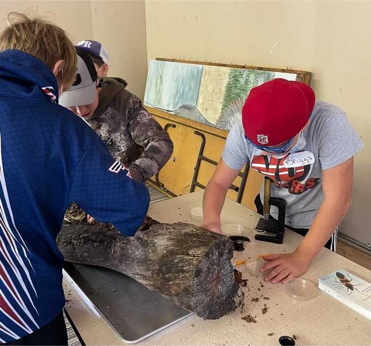 using microscopes to get a closer look