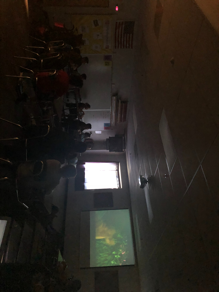 Movie day