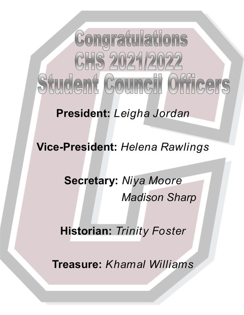 Council Officers