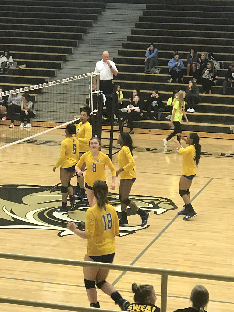 Volleyball 
