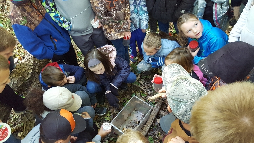 Critter crawls finds.