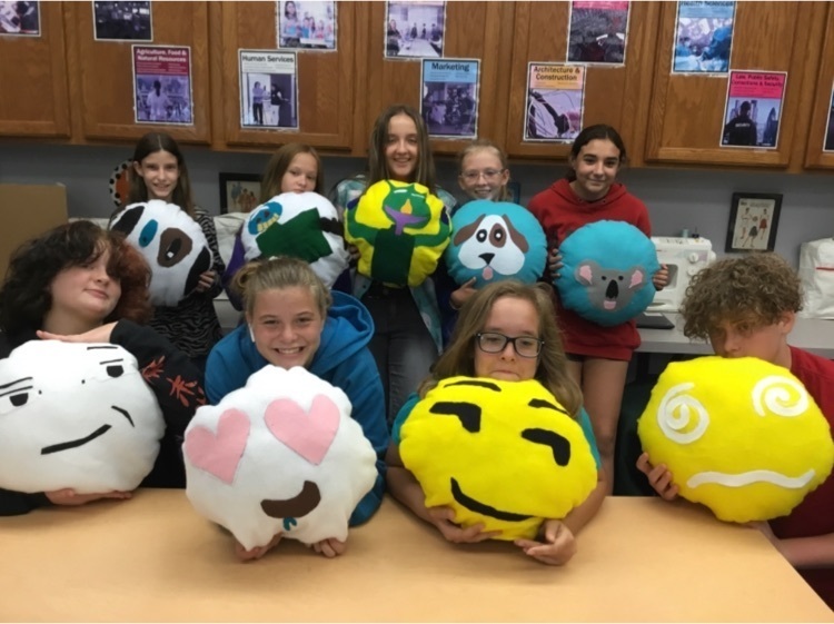 model pillow creations