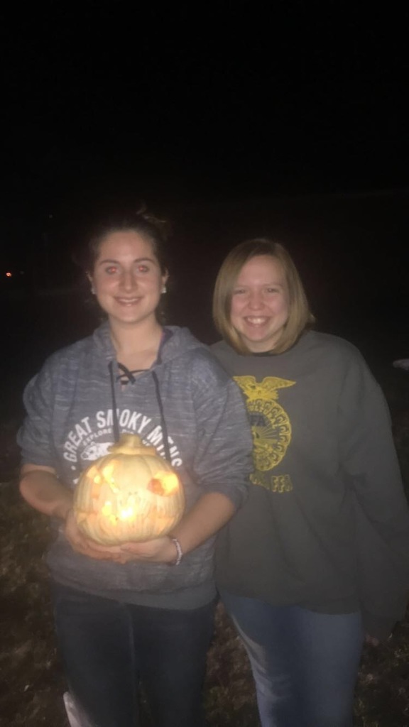 Science club carvings