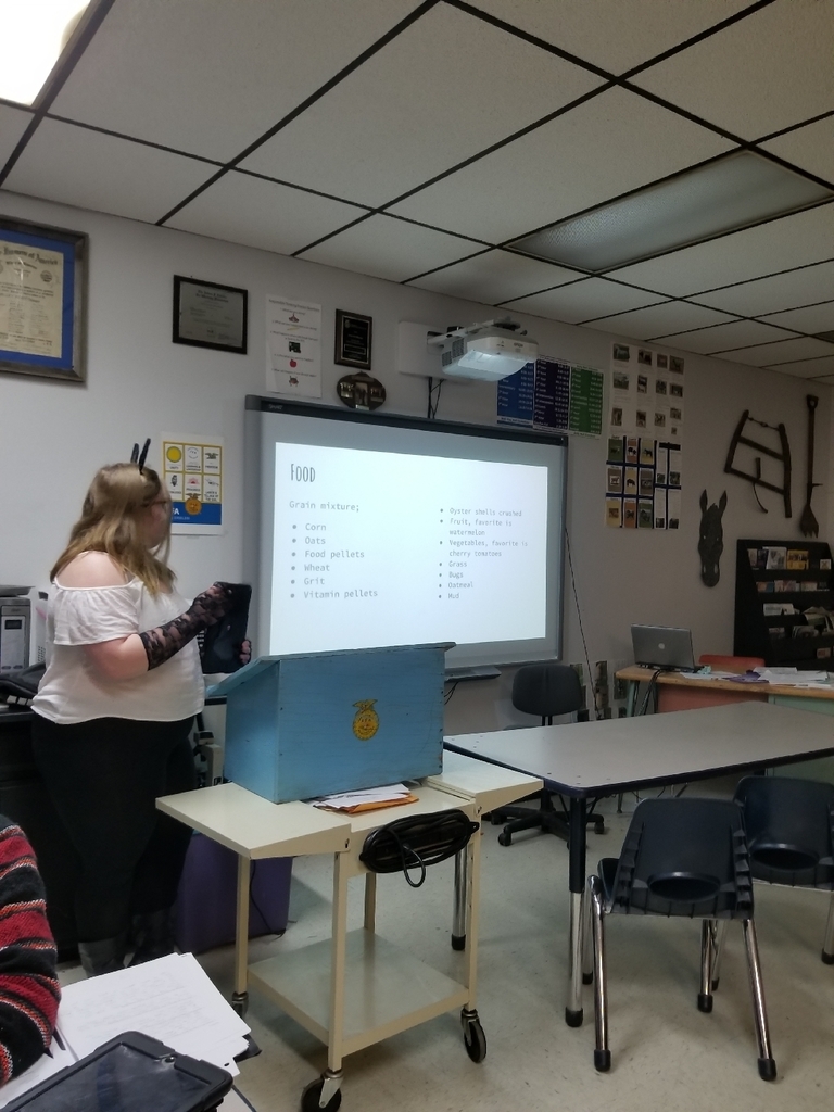 Taylor Crook presenting on ducks.