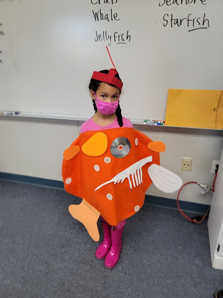 Our fish