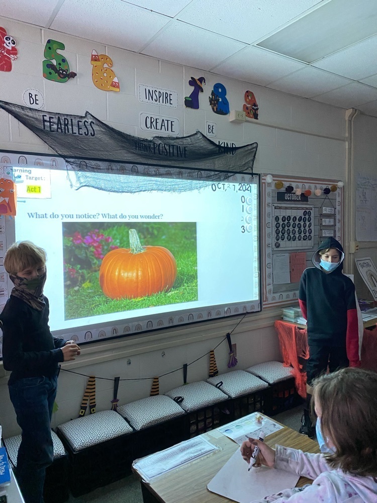pumpkins