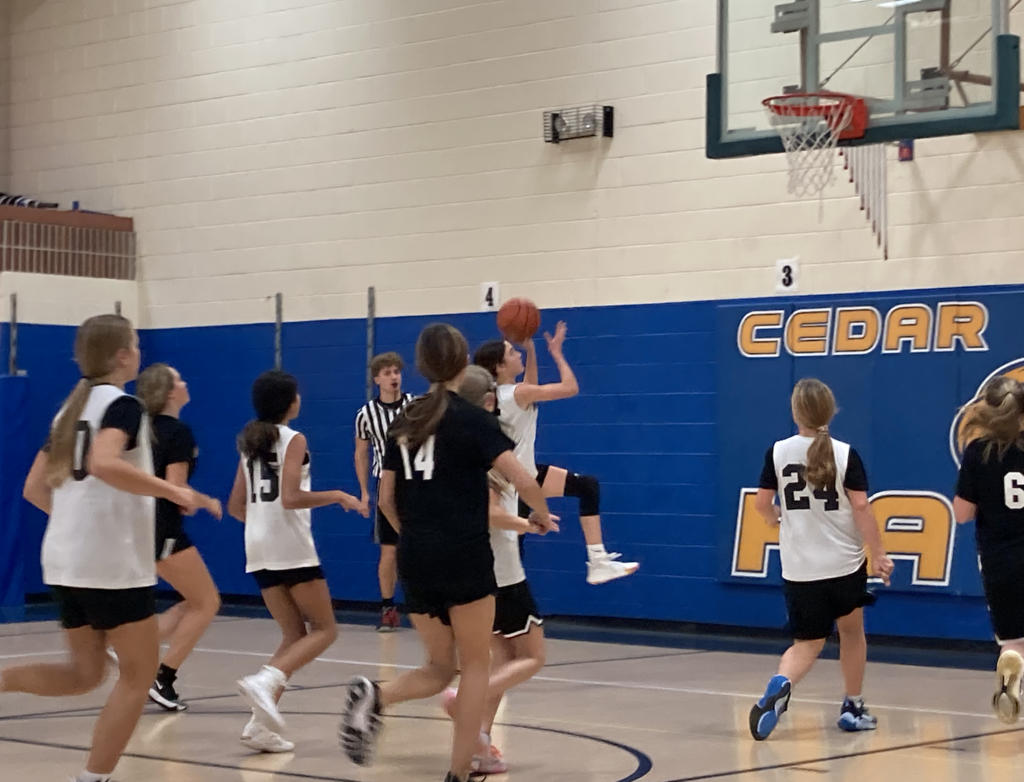 Lainey Paulk makes her layup on the way to victory