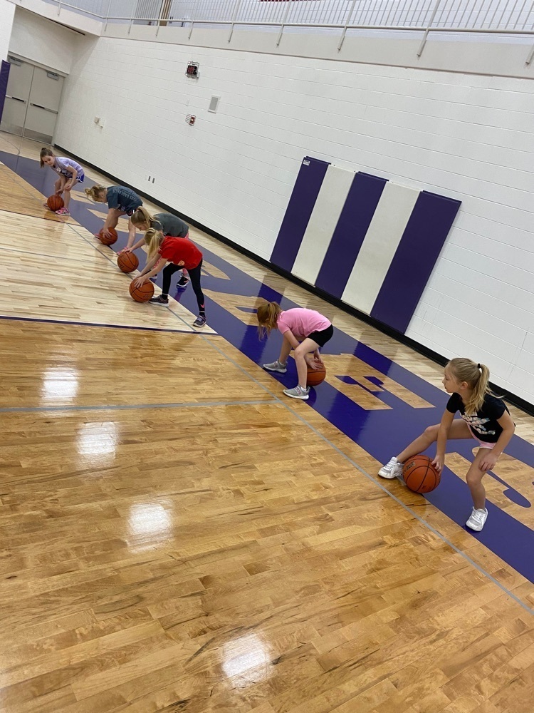 PK-2 Little Hoopsters