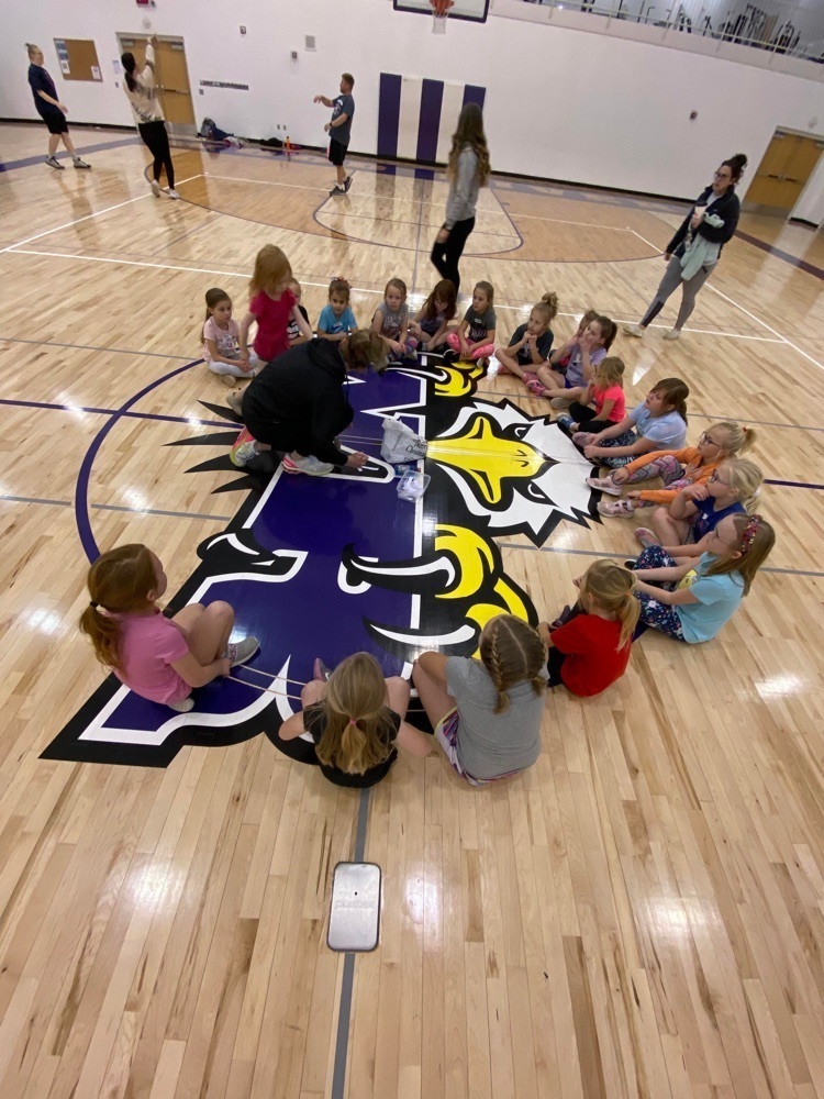 PK-2 Little Hoopsters