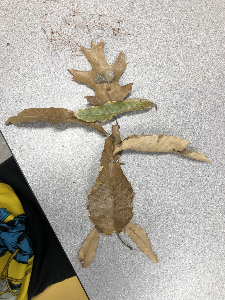 Leaf Man