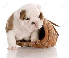 baseball5.jpg