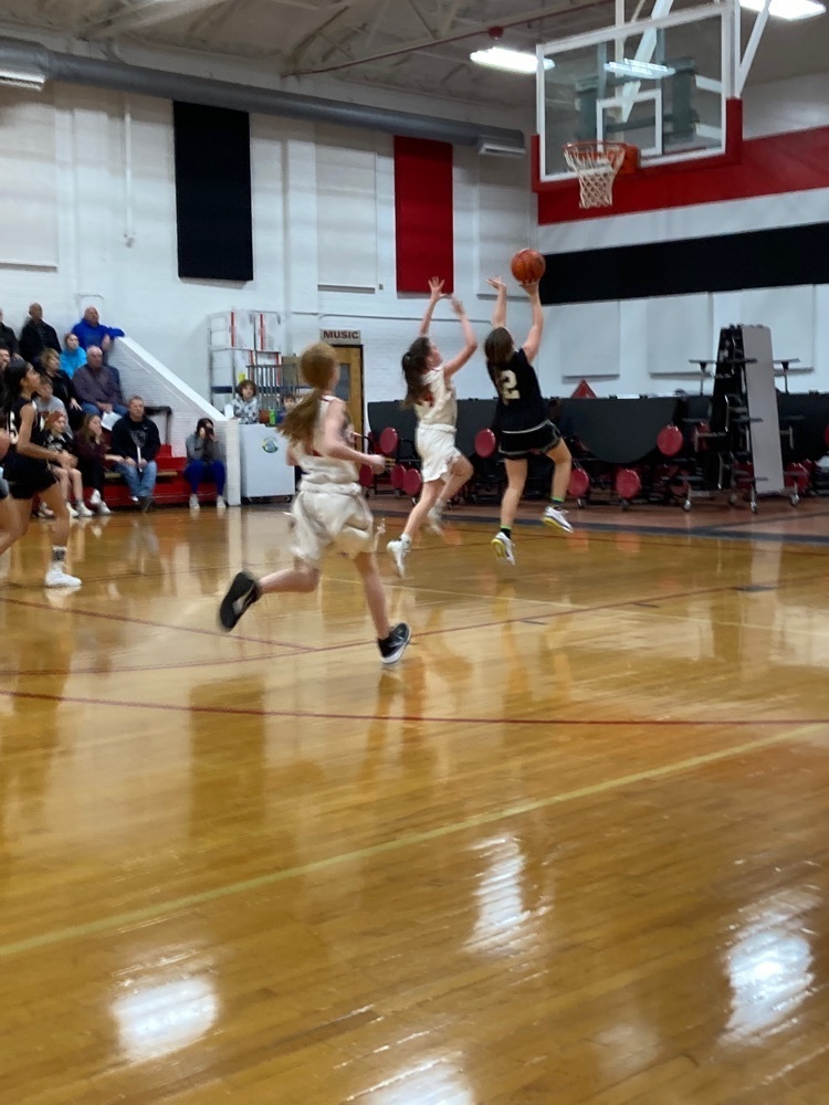 Silverbacks on the Attack 25-15