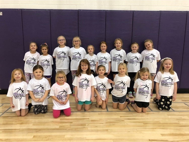 PK-2 Little Hoopsters