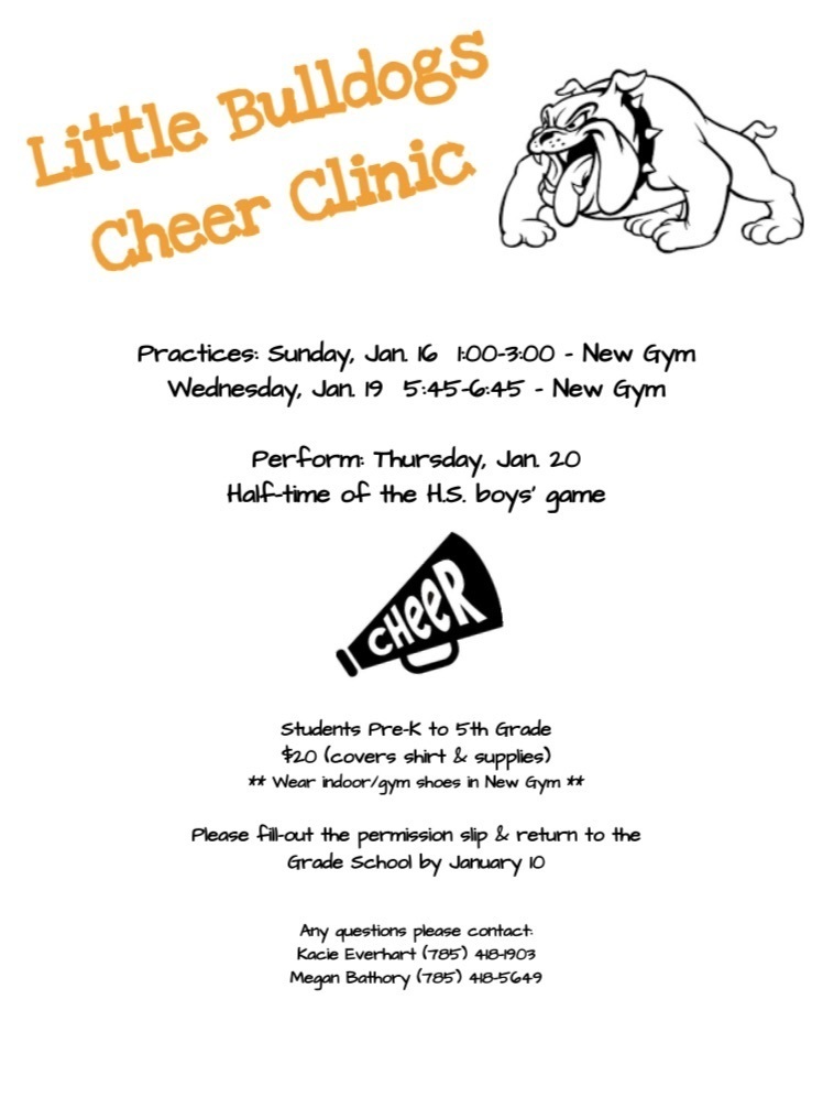Cheer Clinic