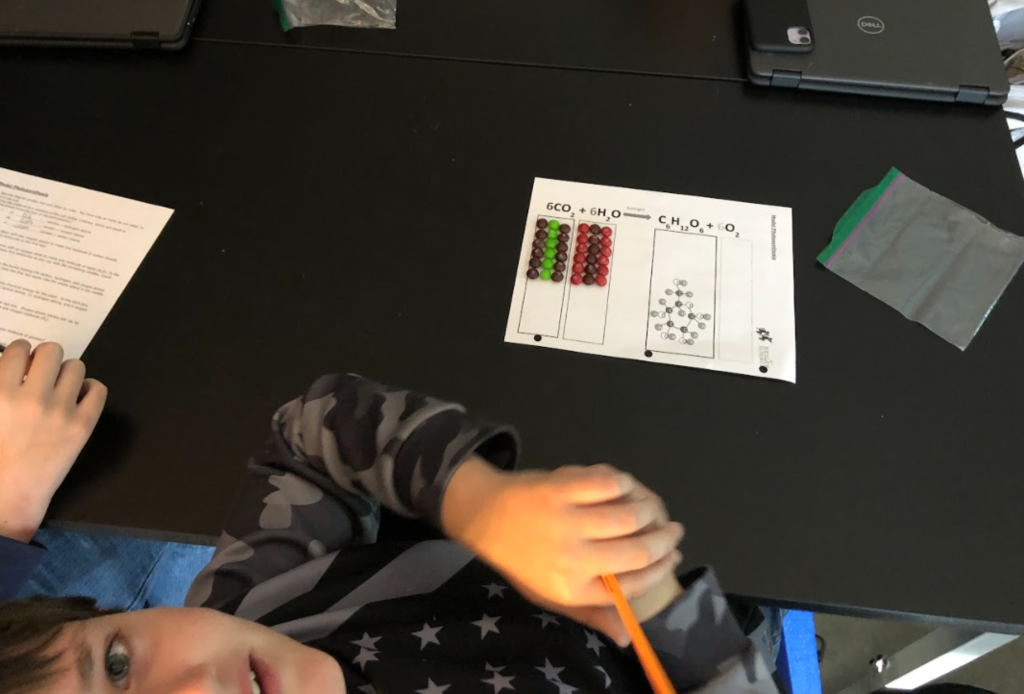 Photosynthesis Model (reactants)