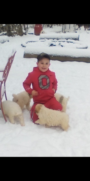 snow days