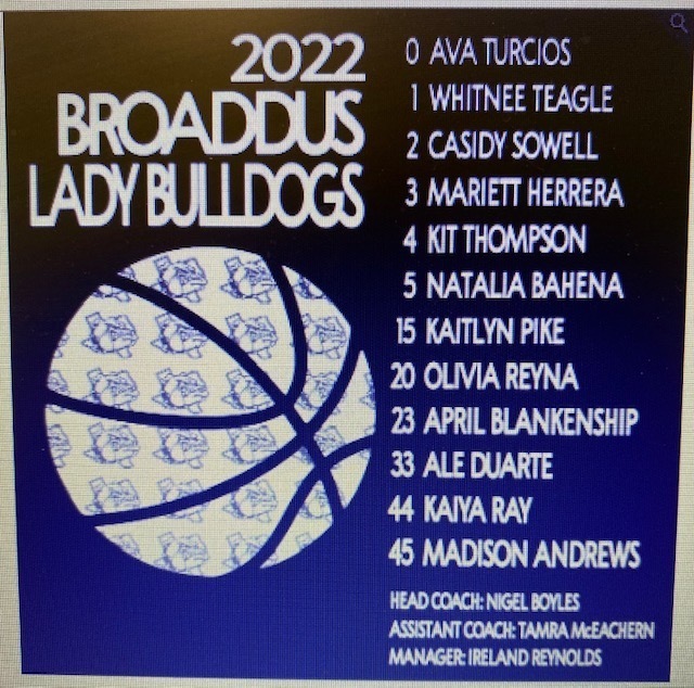 Girls Basketball Playoff Shirts