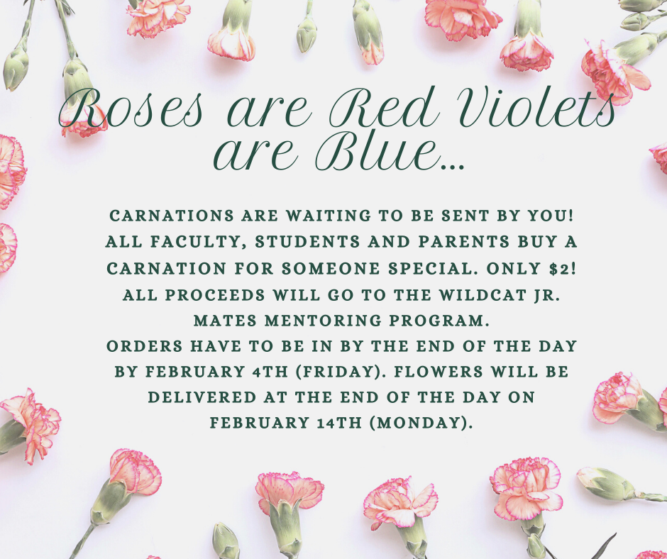 carnations sales