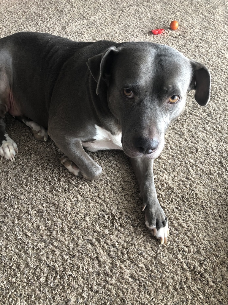 violet