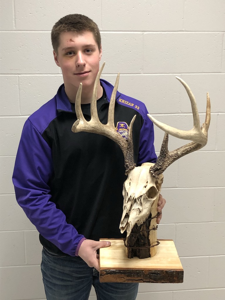 Independent Tech student and project