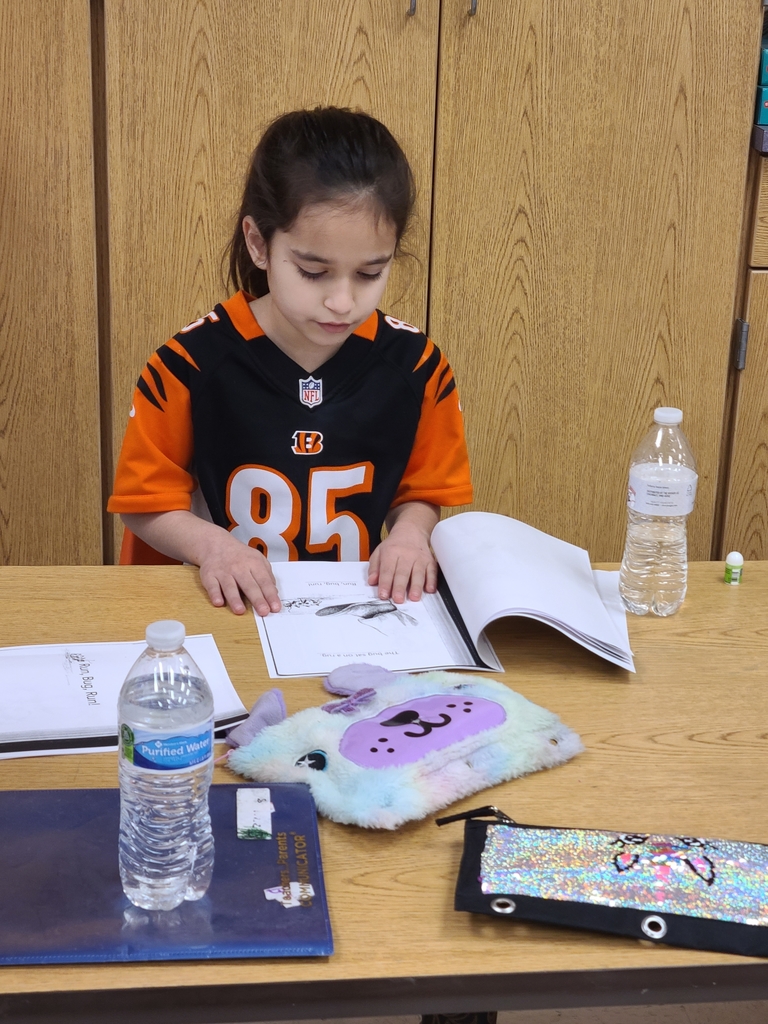 independent reading for morning work
