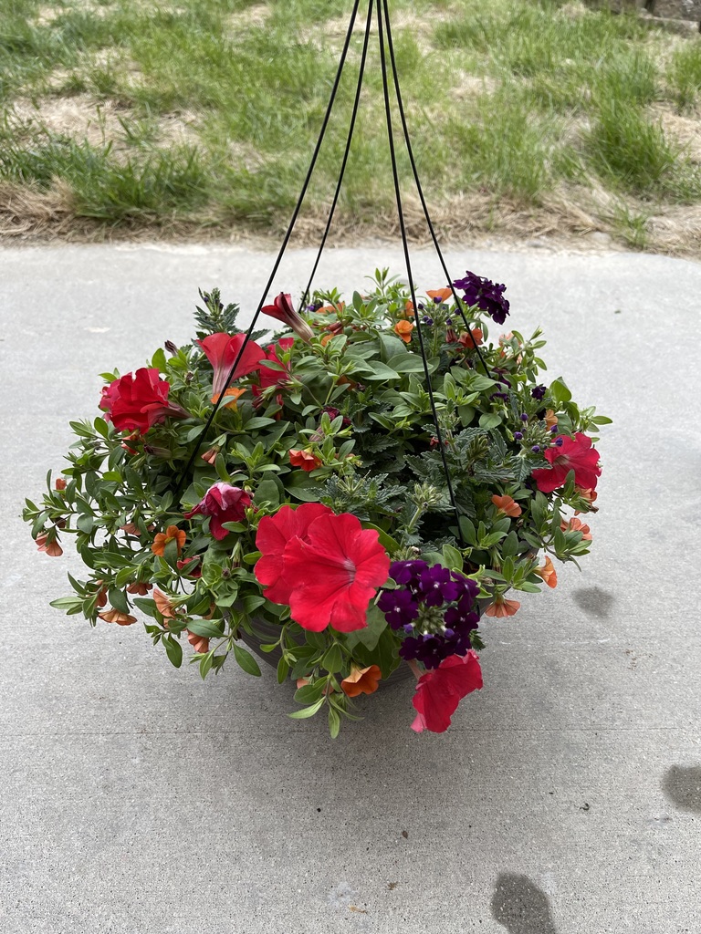 flowers