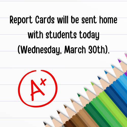 Report Cards