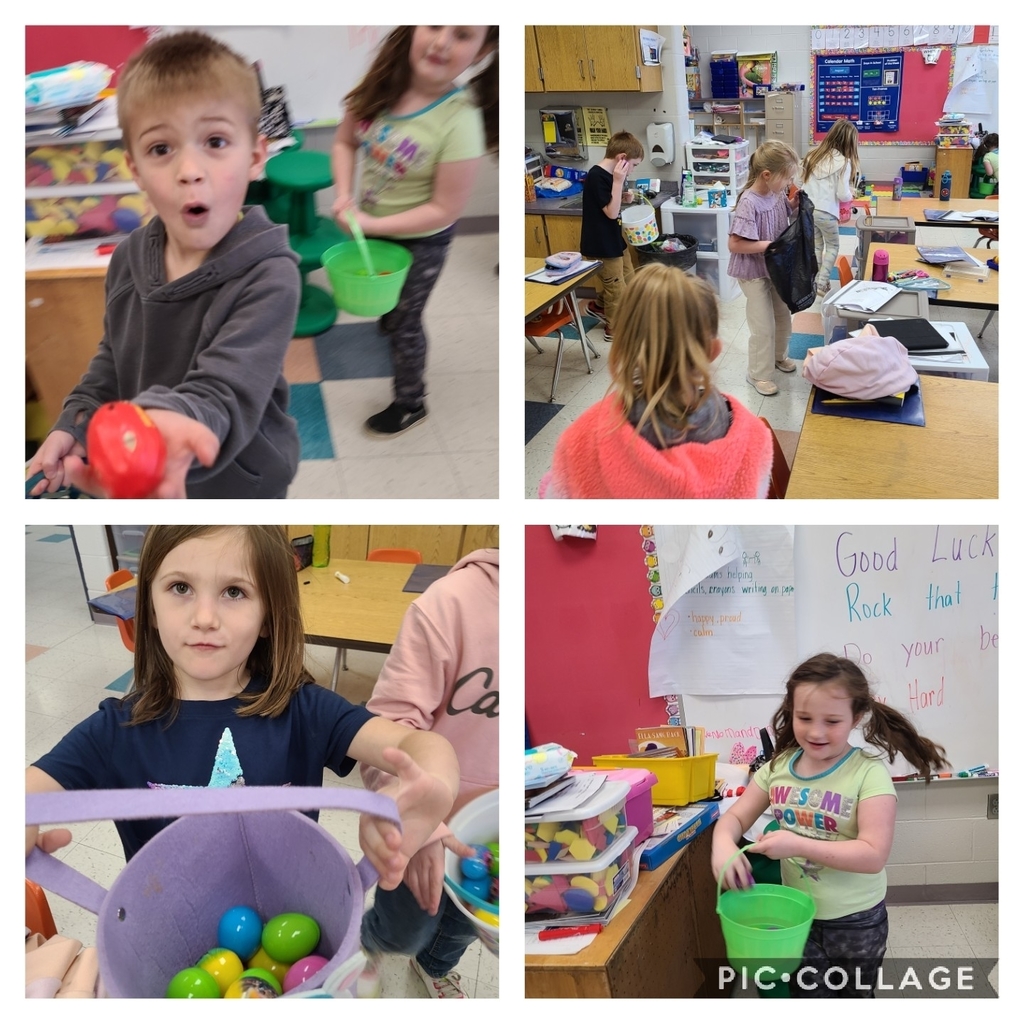 Finding and counting eggs