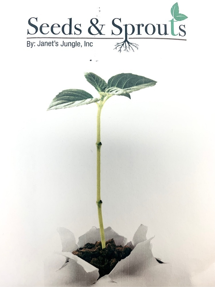 plant sales