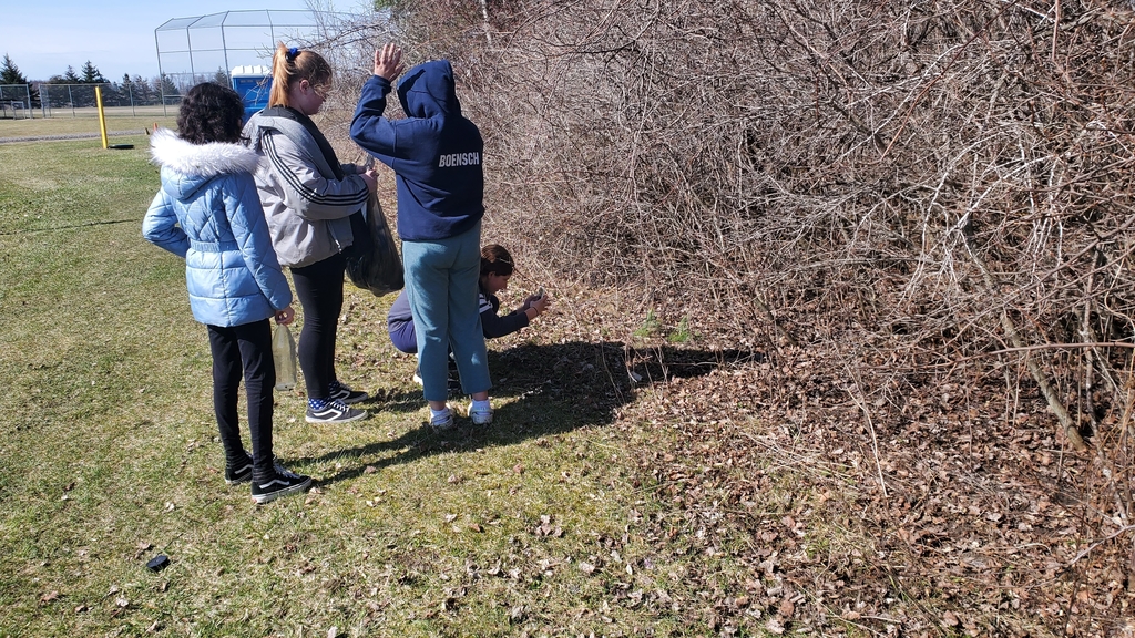 Found a garter snake!