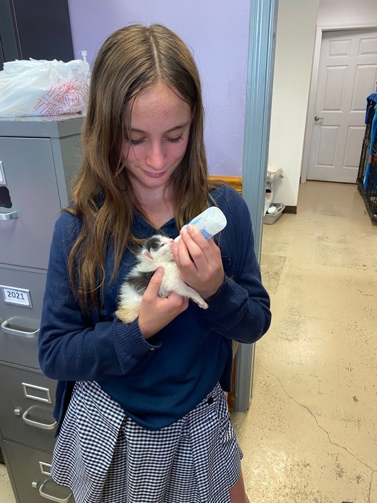 bottle feeding a kitten