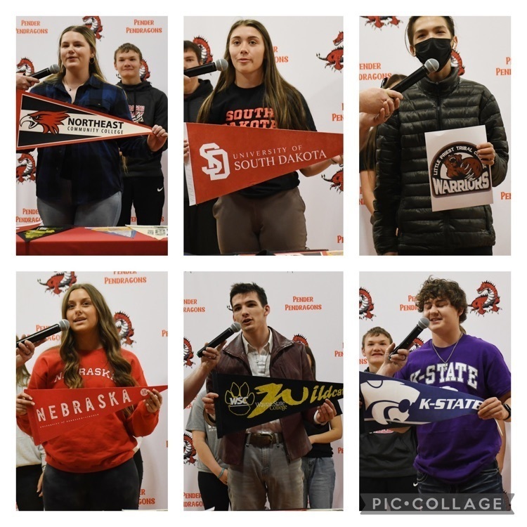 selection day