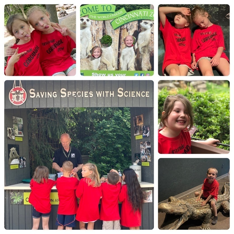 1st grade field trip to the zoo