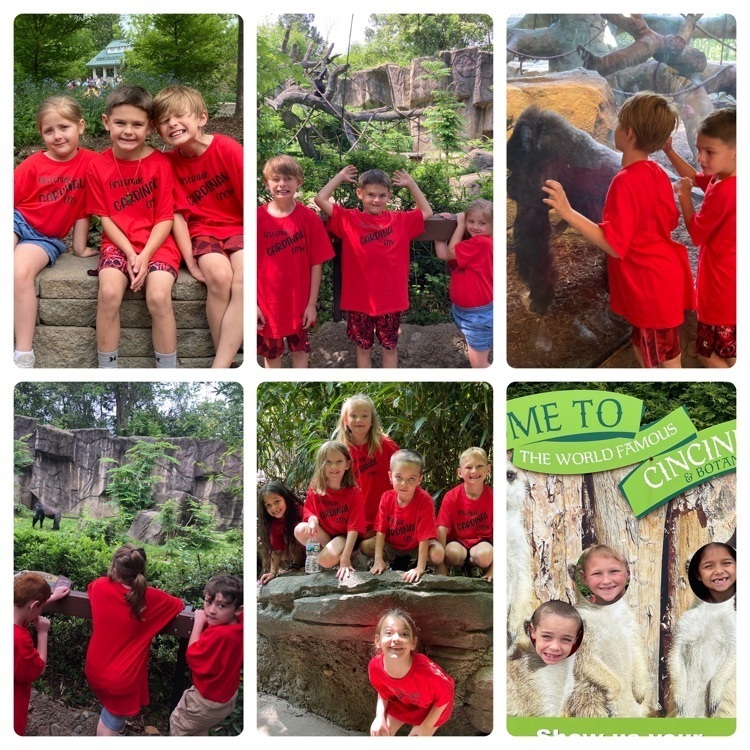 1st grade field trip to the zoo