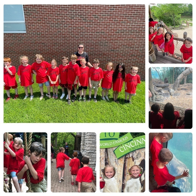 1st grade field trip to the zoo