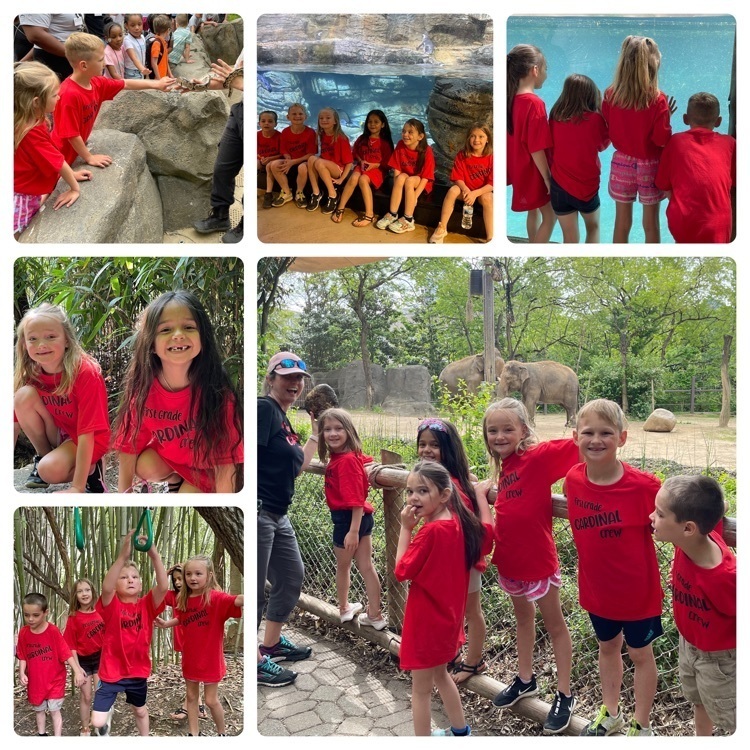 1st grade field trip to the zoo