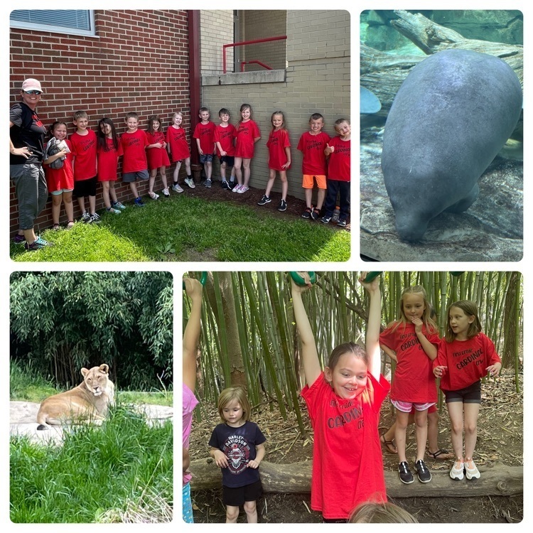 1st grade field trip to the zoo