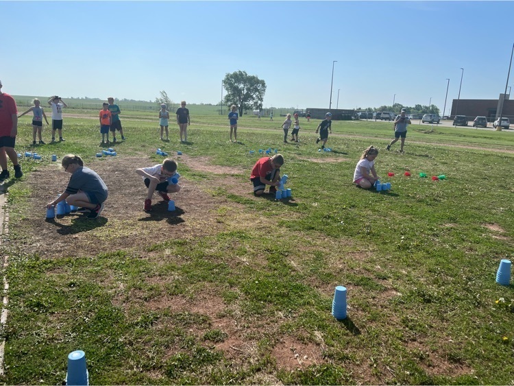 MV field day